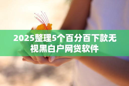 2025整理5个百分百下款无视黑白户网贷软件