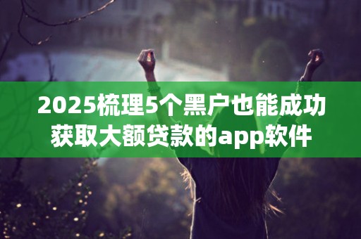 2025梳理5个黑户也能成功获取大额贷款的app软件