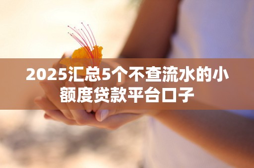 2025汇总5个不查流水的小额度贷款平台口子