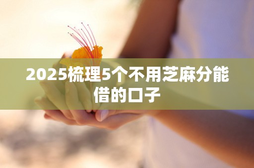 2025梳理5个不用芝麻分能借的口子