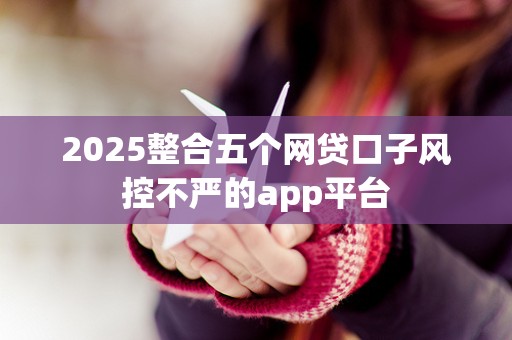 2025整合五个网贷口子风控不严的app平台