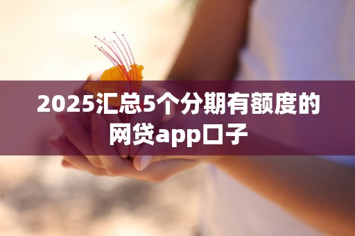 2025汇总5个分期有额度的网贷app口子
