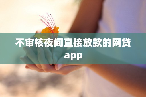 不审核夜间直接放款的网贷app