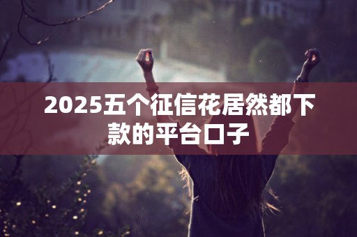 2025五个征信花居然都下款的平台口子