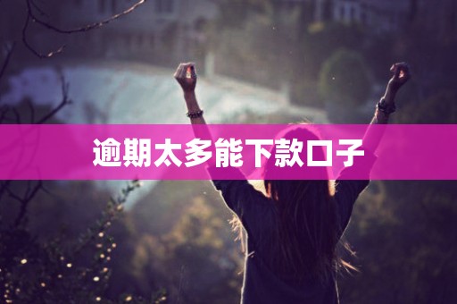 逾期太多能下款口子