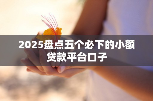 2025盘点五个必下的小额贷款平台口子