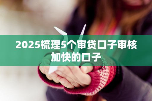 2025梳理5个审贷口子审核加快的口子