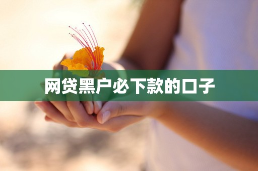 网贷黑户必下款的口子