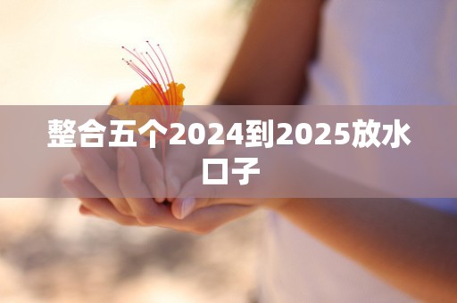 整合五个2024到2025放水口子
