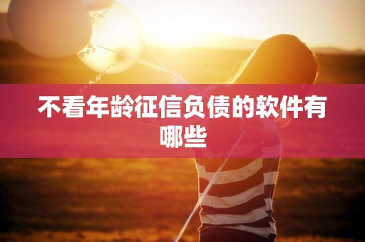 不看年龄征信负债的软件有哪些