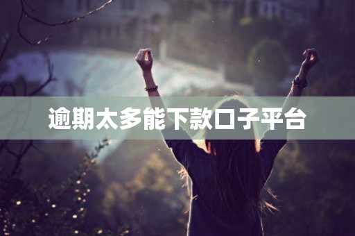 逾期太多能下款口子平台