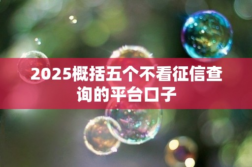 2025概括五个不看征信查询的平台口子