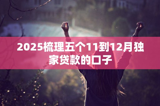 2025梳理五个11到12月独家贷款的口子