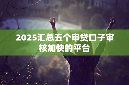 2025汇总五个审贷口子审核加快的平台