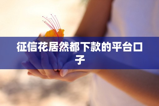 征信花居然都下款的平台口子