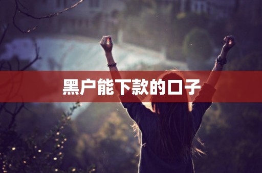 黑户能下款的口子