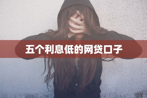 五个利息低的网贷口子
