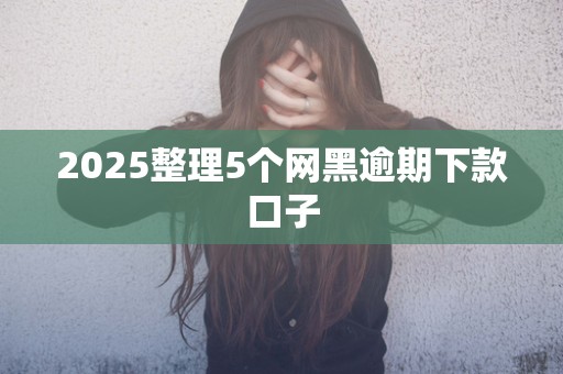 2025整理5个网黑逾期下款口子