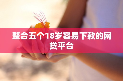 整合五个18岁容易下款的网贷平台