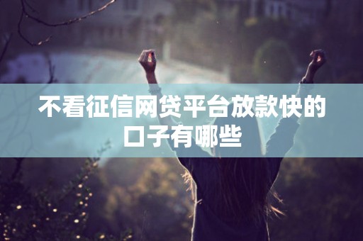 不看征信网贷平台放款快的口子有哪些