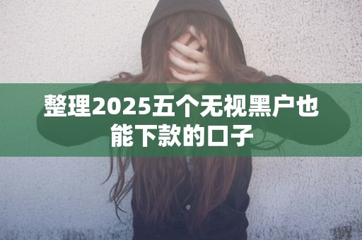 整理2025五个无视黑户也能下款的口子