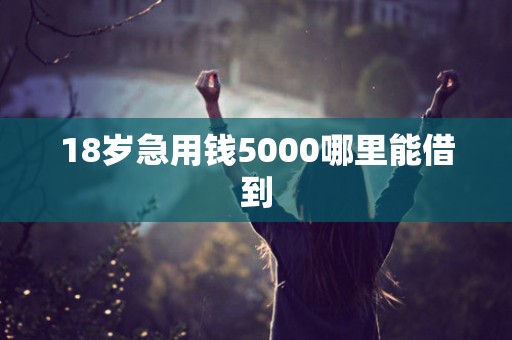 18岁急用钱5000哪里能借到