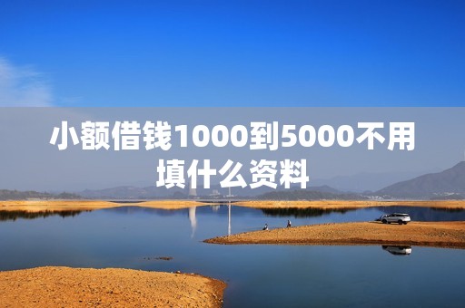 小额借钱1000到5000不用填什么资料