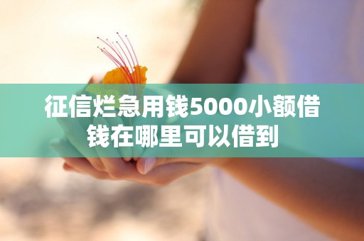 征信烂急用钱5000小额借钱在哪里可以借到