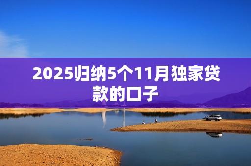 2025归纳5个11月独家贷款的口子