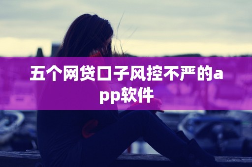 五个网贷口子风控不严的app软件