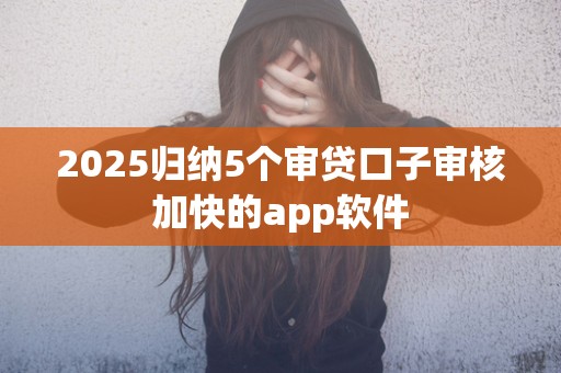 2025归纳5个审贷口子审核加快的app软件