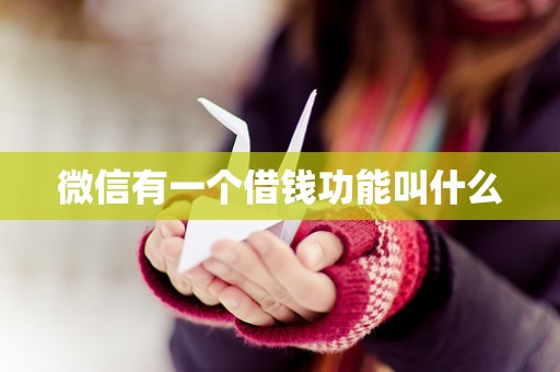 微信有一个借钱功能叫什么 微信有一个借钱功能叫什么