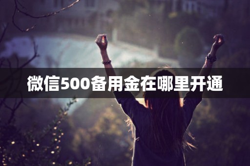 微信500备用金在哪里开通