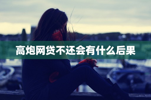 高炮网贷不还会有什么后果