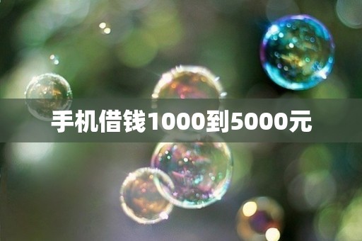 手机借钱1000到5000元