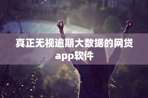 真正无视逾期大数据的网贷app软件