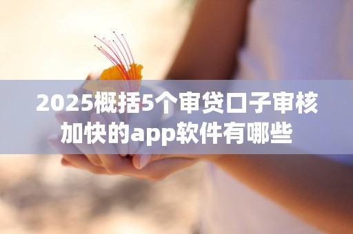 2025概括5个审贷口子审核加快的app软件有哪些