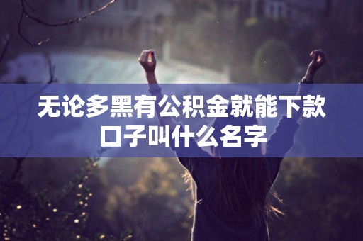 无论多黑有公积金就能下款口子叫什么名字