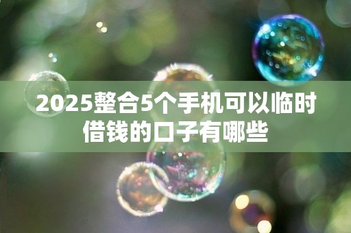 2025整合5个手机可以临时借钱的口子有哪些
