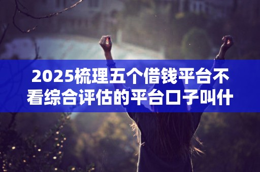 2025梳理五个借钱平台不看综合评估的平台口子叫什么名字