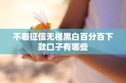 不看征信无视黑白百分百下款口子有哪些