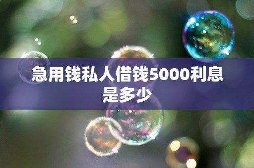 急用钱私人借钱5000利息是多少