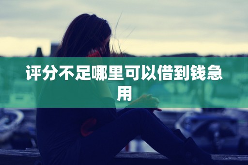 评分不足哪里可以借到钱急用