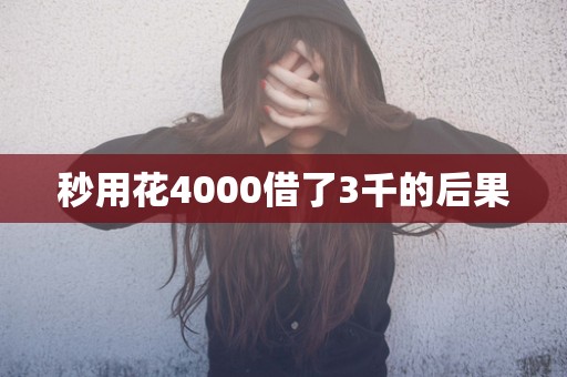 秒用花4000借了3千的后果