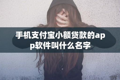 手机支付宝小额贷款的app软件叫什么名字