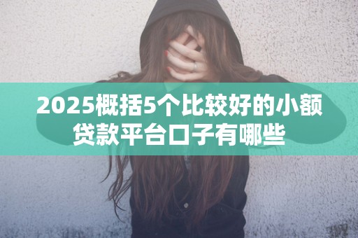 2025概括5个比较好的小额贷款平台口子有哪些 2025概括5个比较好的小额贷款平台口子有哪些