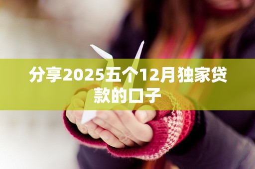 分享2025五个12月独家贷款的口子