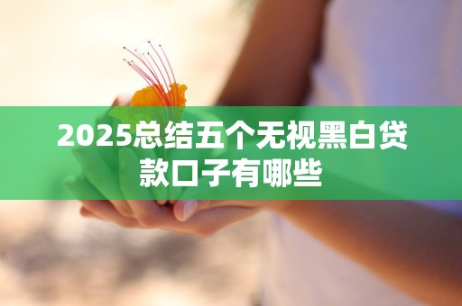2025总结五个无视黑白贷款口子有哪些