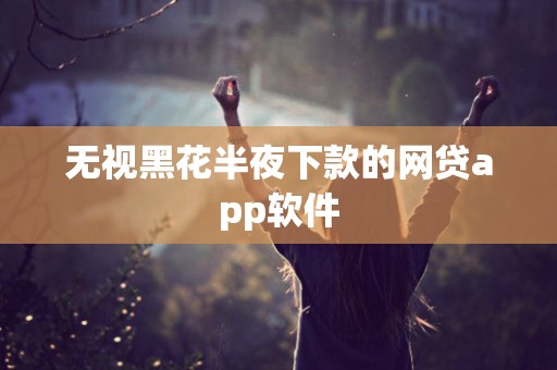 无视黑花半夜下款的网贷app软件
