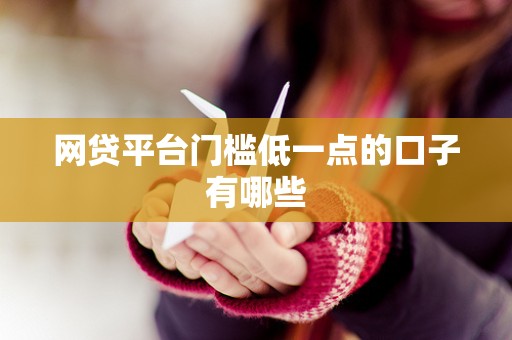 网贷平台门槛低一点的口子有哪些